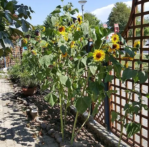 Pensjonat Paradiesgartl *